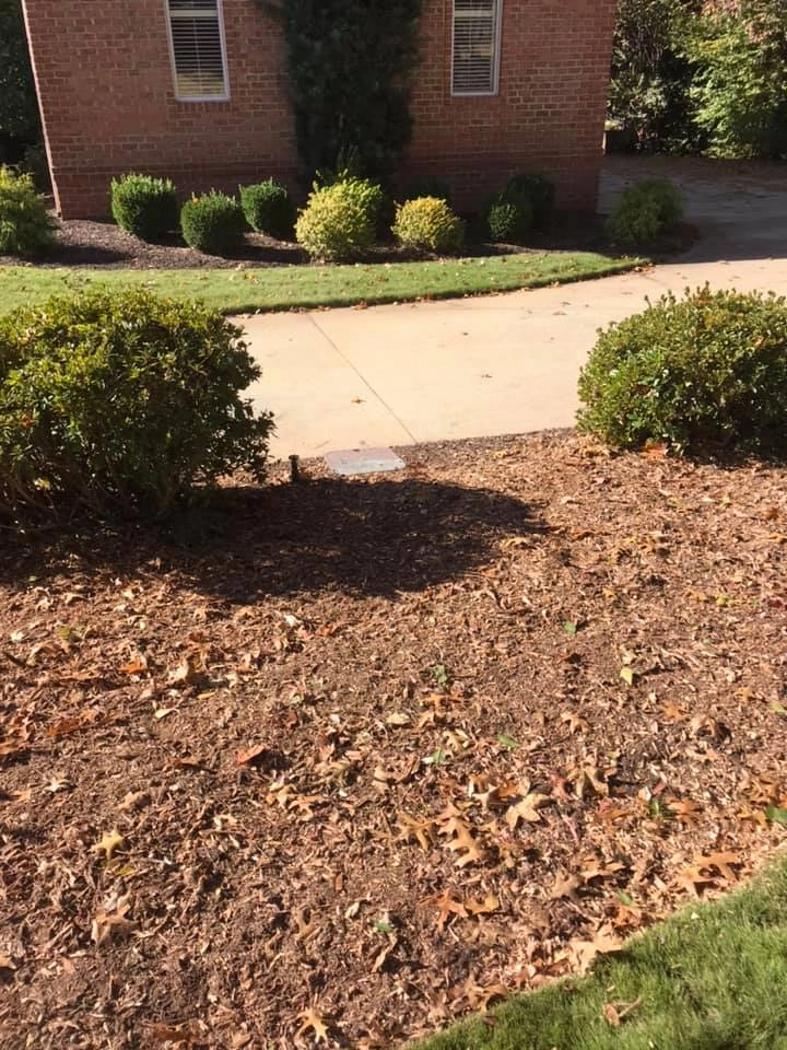 Clean yard after stump removal